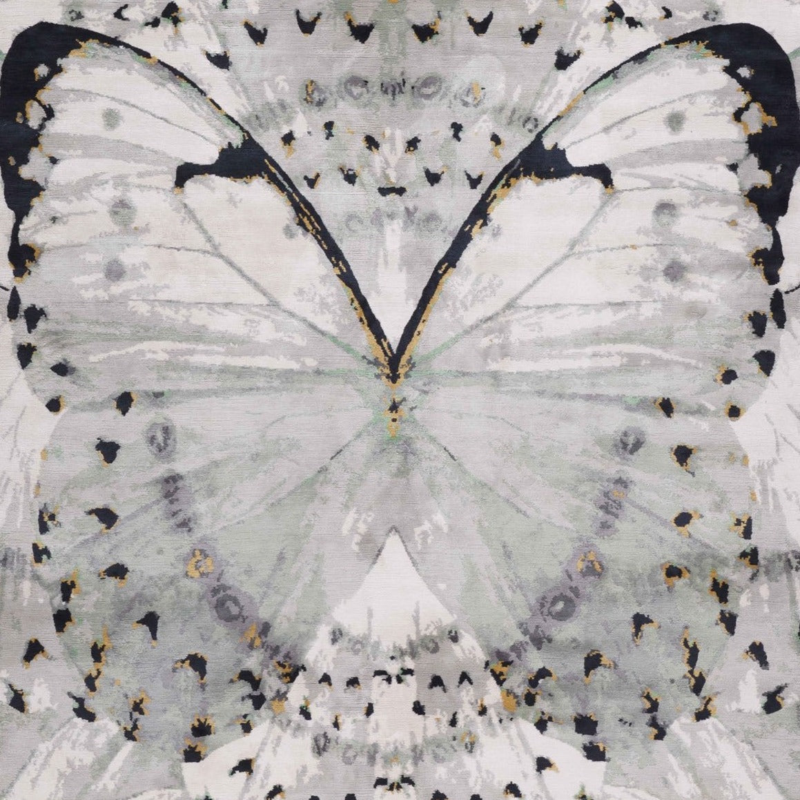 the rug company - glasswings