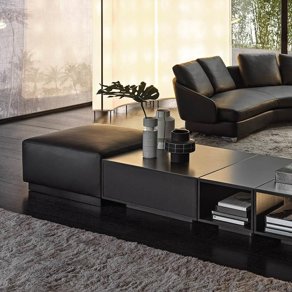 DANIELS POUF MAGNETI SX CARBONE